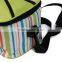 Fashionable high quality fancy multi-compartment thermal lunch box bag