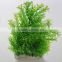 Lovely aquarium Landscaping mineral water plant cost