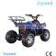 Electric Start Engine Kids ATV For Sale