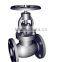 Steam Globe Valve