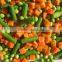 Supply IQF Frozen Mixed Vegetables Peas, Carrots,Sweet Corn,Green Beans