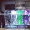BPA Free Clear Colorful Gift Drinking Portable Custom PCTG material sports Bottle                        
                                                Quality Choice