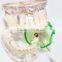 Autoclavable Mouth Prop With Best Quality