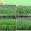 50mm olive and green color artificial grass for soccer filed factory directly