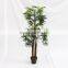 wholesale artificial fake palm trees for house decoration
