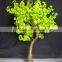 2m led ginkgo leaf outdoor tree up lights