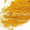 Premium turmeric powder bulk supplier