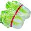 Chinese cabbage Price Cutting for Export