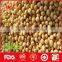 Chinese dried cheap soybeans for wholesale
