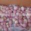 Exporter of Peeled Shallot