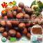 Frozen Roasted Chestnut In Shell IQF Roasted Chestnuts