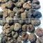 fresh black truffle/fresh desert truffle/ truffles mushroom price