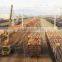 Timber Log / Sawlogs /Wood round logs