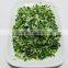 AD Type Dehydrated Chive Supplier
