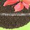 Amino Acid + Humic Acid NPK Organic Fertilizer AAA