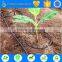 dripper online for farm drip irrigation system