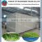 Commercial Hydrophonic fodder growing machine for barley/grass/beans