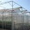 long life span polycarbonate greenhouse roofing