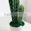 mini-artificial bonsai hotsale cactus bonsai plants Ornamental Green Plants