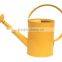 Hot sell 5L 7L 8L 10L Decoration Zinc Watering Can