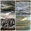 Cheap Price Frozen Atlantic Mackerel