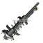 Heavy-Duty Coil Spring Compressor