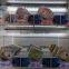 arcade coin operated hot sell kids crane games game coin operated vending type prize game for sale