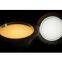 8 inch LED Down Light