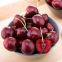fresh fruits import agent|customes clearance servive