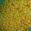 Frozen Yellow Peach Dice