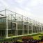 Glass Greenhouse with Hydroponic Growing System for Agriculture Planting