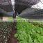 Antioxidant UV treated durable 100% HDPE agricultural shade net philippines