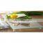 Eco-friendly Customized High Quality Tempered Glass Chopping Board / Cutting Board