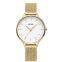 FEATURES OF SS553-02 GOLD AND WHITE WOMEN'S WATCH WITH MESH BAND