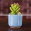 Mini Ice Cracked Desk Top Succulent Flower Pot