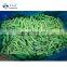 Sinocharm 2021 New Crop Top Grade IQF 2-4cm  Frozen Green Beans Cut high quality