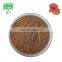 reishi mushroom extract 30% Polysaccharides and Sport powder