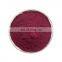 Sciyu supply organic 4:1 5:1 10:1 Elderberry Extract powder