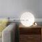 Nordic Style Home Decorative Desk Light LED Bedroom Reading Iron Glass Gold Table Lamp