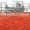 Genyond Ground Peeled Tomatoes Marinara Sauce in food processing field