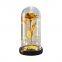 Wholesale Valentines Day Mothers Day Gold Foil Rose in Glass Dome with LED Light Eternal Galaxy Rose Gift Set