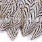 wholesale natural feather pheasant feathers sale for party trims