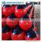 luxiang A Series PVC floating inflatable buoy