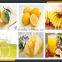 pineapple pulp making equipment