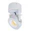 Dimmable Adjustable 8W COB LED Wall Surface Spot Light with HEP driver