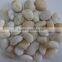 china A grade white black red cream river stones with polished hot selling