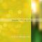 Transparent Transparency and Decorative Film Usage yellow insect prevention laminating film