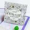 Factory Direct Sale Hand-painted Secret Garden Coloring Book For Adult