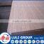 competitive price and high quality best plywood