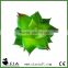 Tropical Bonsai Plant Artificial Mini Echeveria Pick in Light Green